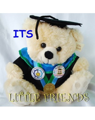 Boneka Wisuda Institut Teknologi Sepuluh Nopember - MIPA (30 cm)